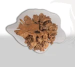 furniture epoxy dinning root side center table resin natural wood live edge bohemian antiqus طاولات ايبوكسي جذور وسط جانبيه سفره اثاث خشب طبيعي انتيكه بوهيمي
