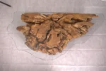 furniture epoxy dinning root side center table resin natural wood live edge bohemian antiqus طاولات ايبوكسي جذور وسط جانبيه سفره اثاث خشب طبيعي انتيكه بوهيمي