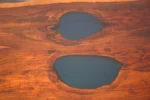 live edge