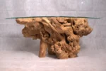 root table