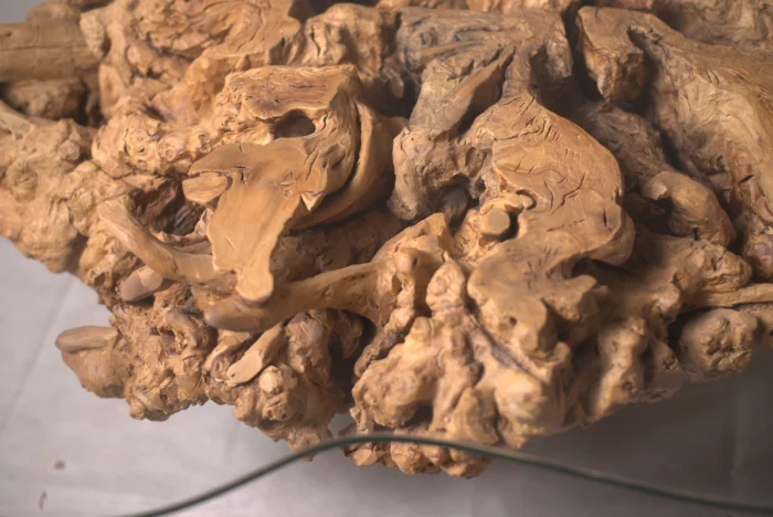 furniture epoxy dinning root side center table resin natural wood live edge bohemian antiqus طاولات ايبوكسي جذور وسط جانبيه سفره اثاث خشب طبيعي انتيكه بوهيمي